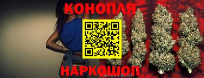 Альфа ПВП Лесосибирск