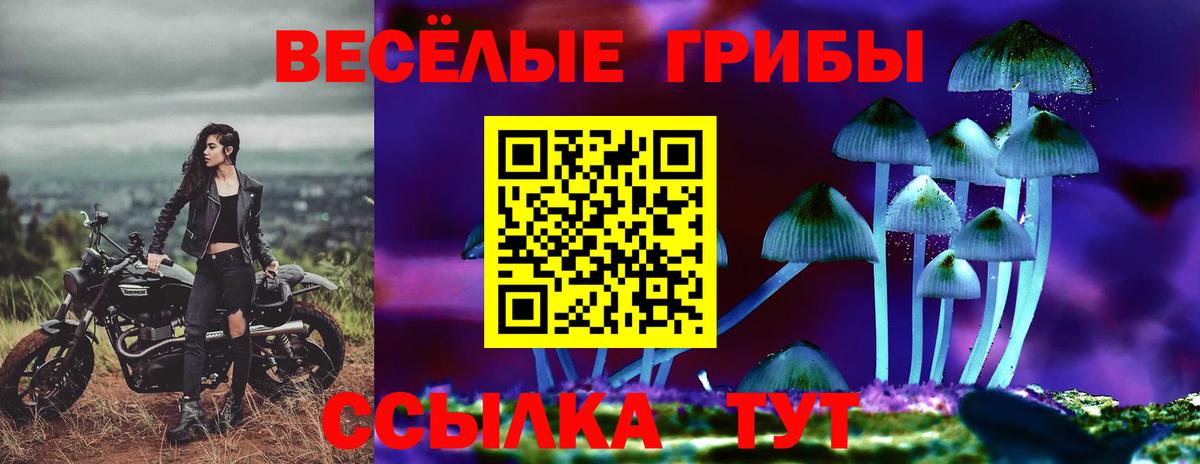 Псилоцибиновые грибы MAGIC MUSHROOMS Барабинск