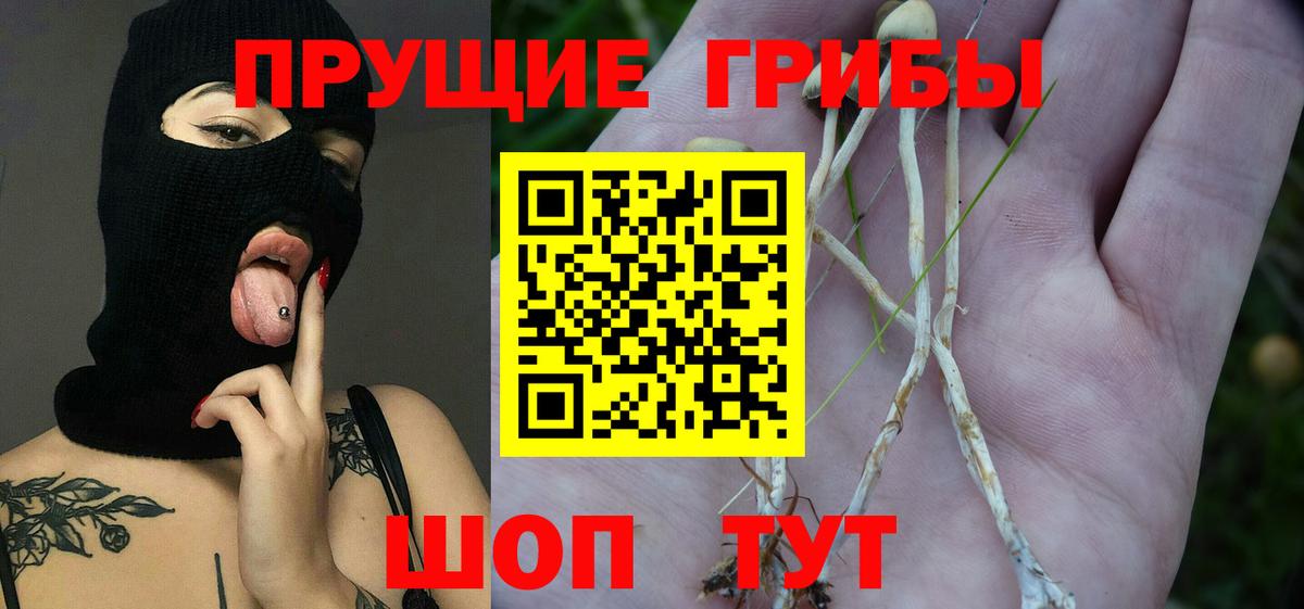 Барабинск  Галлюциногенные грибы мицелий  Вход с VPN  Галлюциногенные грибы мухоморы 